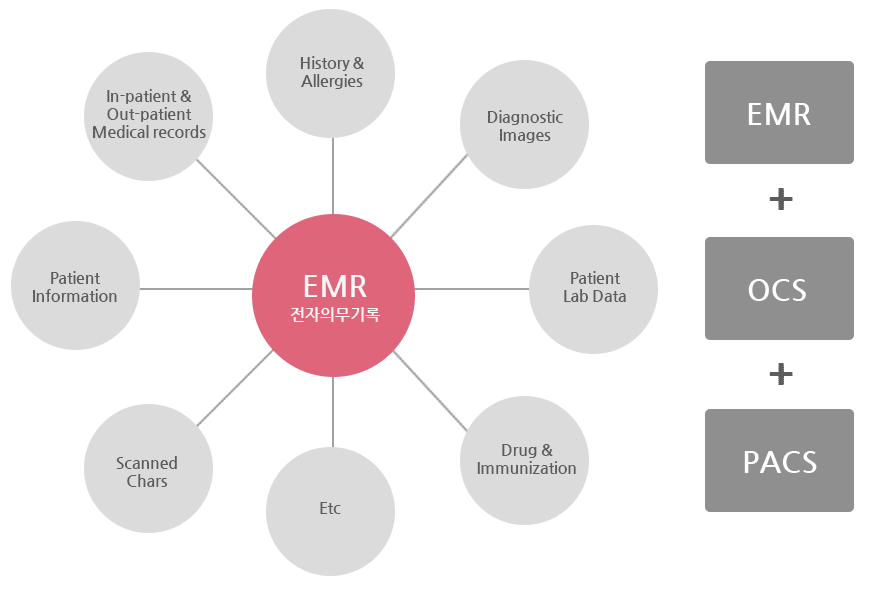 EMR 전자의무기록-History & Allergies, Diagnostic Images, Patient Lab Data, Drug & Immunization, Etc, Scanned Charts, Patient Information, In-patient & Out-patient Medical records (EMR+OCS+PACS)