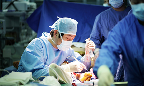 ¿øÀå´Ô¼ö¼ú