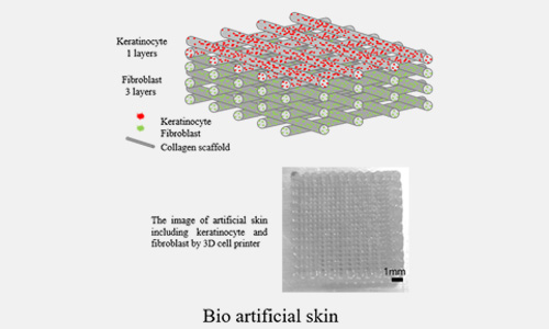 ÀΰøÇǺΠ¿¬±¸°³¹ß ¸ð½Äµµ